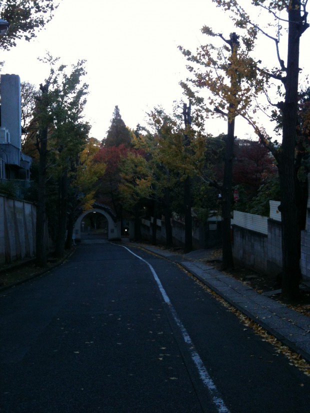 seishin