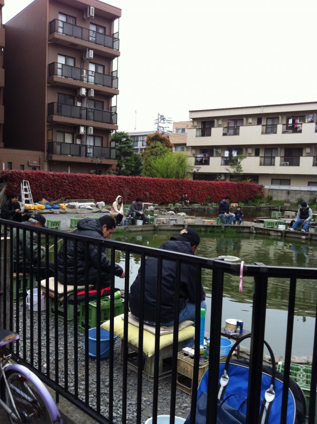 asagaya2